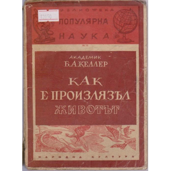 Как е произлязъл животът