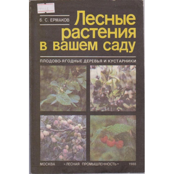 Лесные растения в вашем саду
