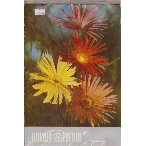 Blumen zur Freude