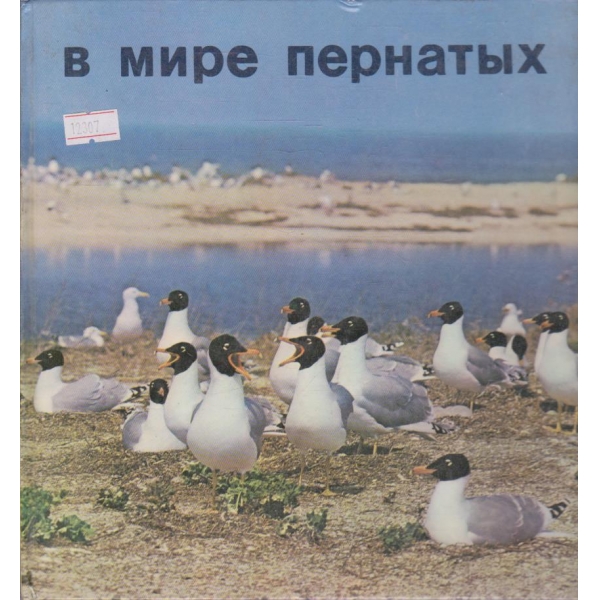 В мире пернатых