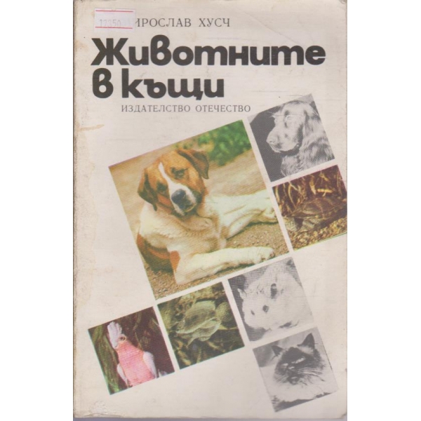 Животните в къщи