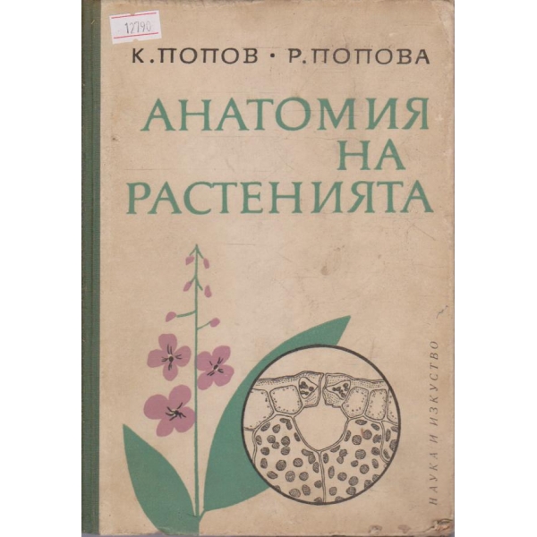 Анатомия на растенията