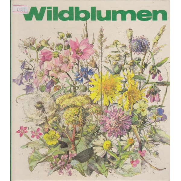 Wildblumen