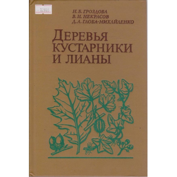 Деревья кустарники и лианы