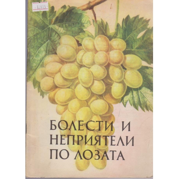 Болести и неприятели по лозата