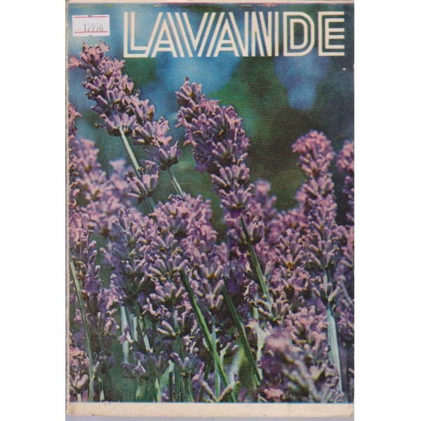 Lavande